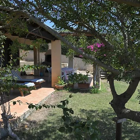 Ventura, شيا